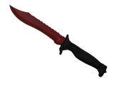 Prize image